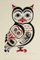 /album/galleria-foto-indiani-haida/a25-jpg/