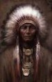 /album/galleria-foto-indiani-sioux/a35-jpg/
