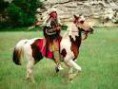 /album/galleria-foto-indiani-sioux/a37-jpg/